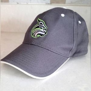 Baseball Hat/Cap with Wildcat Logo, Adjustable